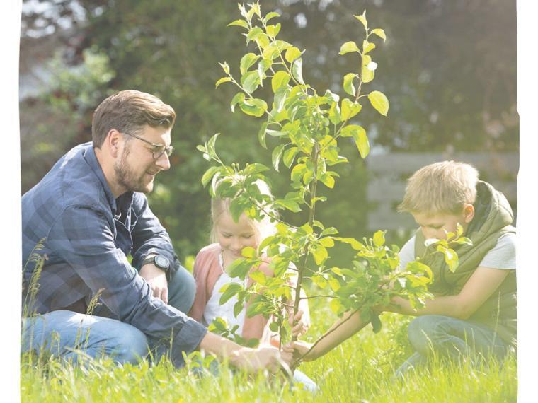 Tiertod: Vater pflanzt mit Tochter und Sohn kleinen Baum in Garten.