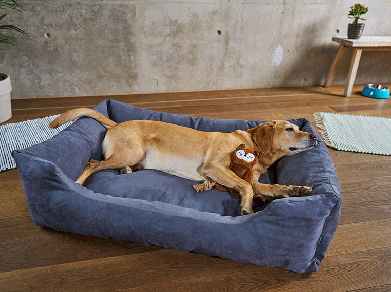 ZooRoyal Hundebett Dream anthrazit Hundebett