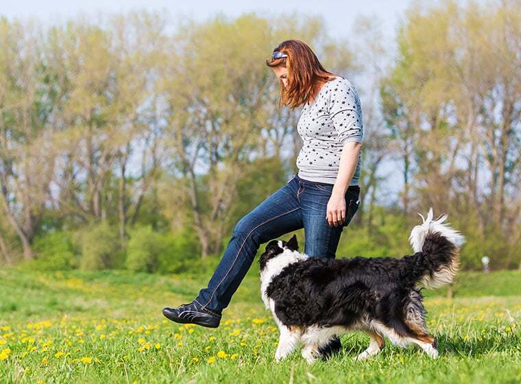 Dogdancing Dogdancing