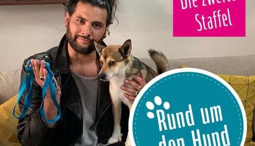 Rund um den Hund Staffel 2