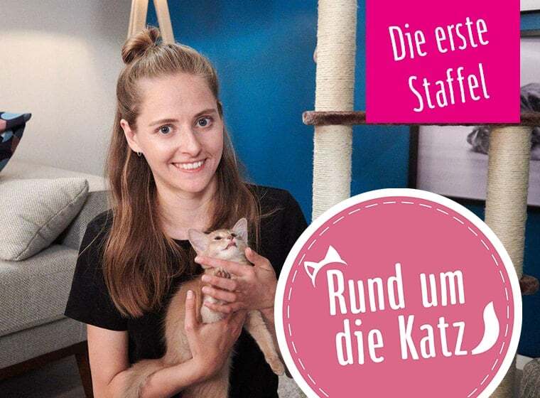 Rund um den Hund Staffel 1