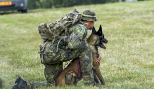 Hund sitzt neben uniformierter Person auf einer Wiese.