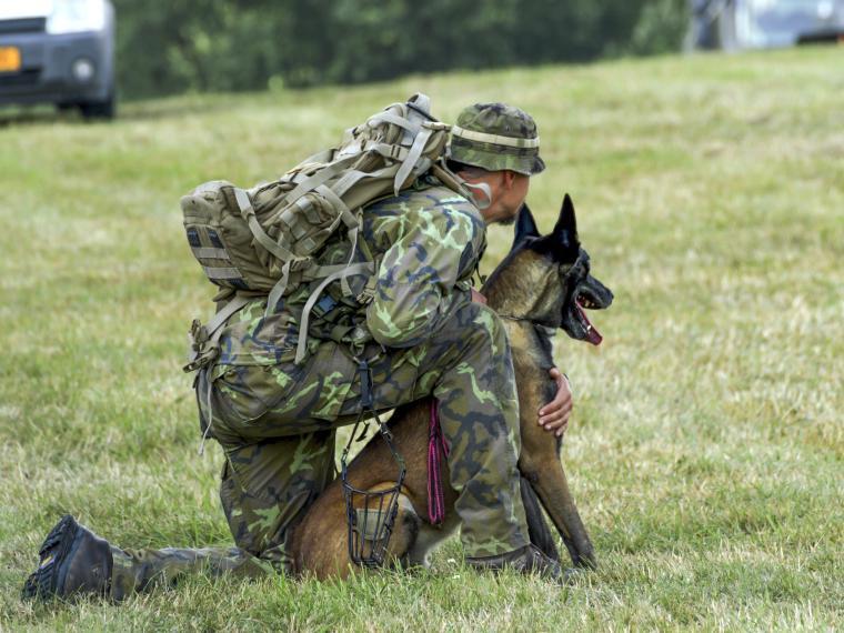 Hund sitzt neben uniformierter Person auf einer Wiese.