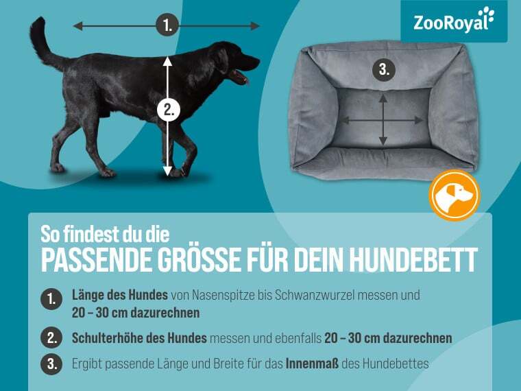 So findest du das passende Hundebett So findest du das passende Hundebett