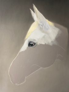 Melanie Januszok Pferdeportrait zeichnen Schritt 1