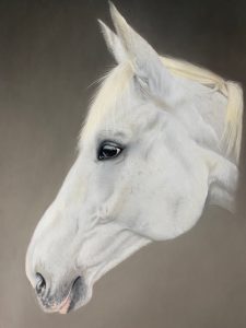 Melanie Januszok Pferdeportrait zeichnen Schritt 3