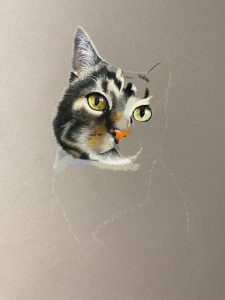Melanie Januszok Tierportrait zeichnen Schritt 1