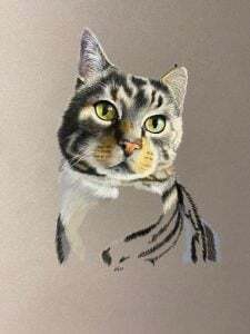 Melanie Januszok Tierportrait zeichnen Schritt 2