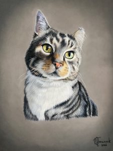 Melanie Januszok Tierportrait zeichnen Schritt 3