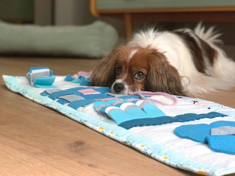 Schnüffelteppich für Hunde selber machen Schnüffelteppich für Hunde selber machen