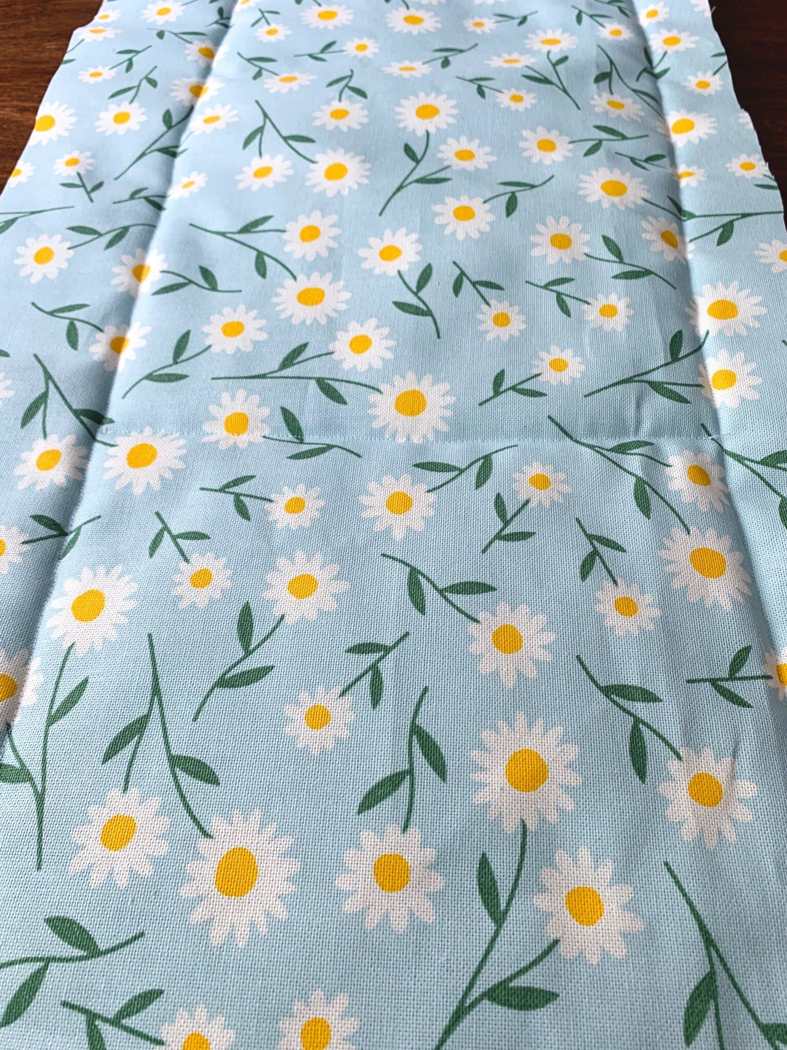 Schnüffelteppich für Hunde DIY
