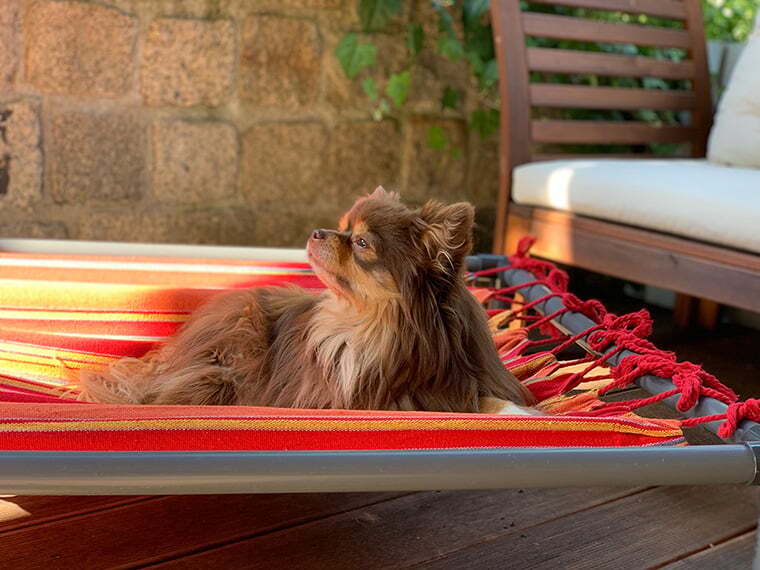 Hundebett selber bauen Hundebett selber bauen