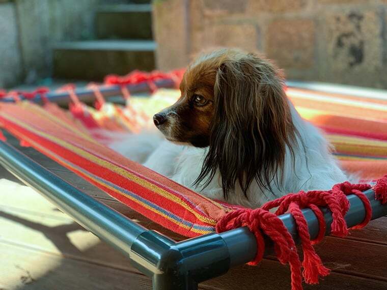 Hundebett selber bauen Hundebett selber bauen