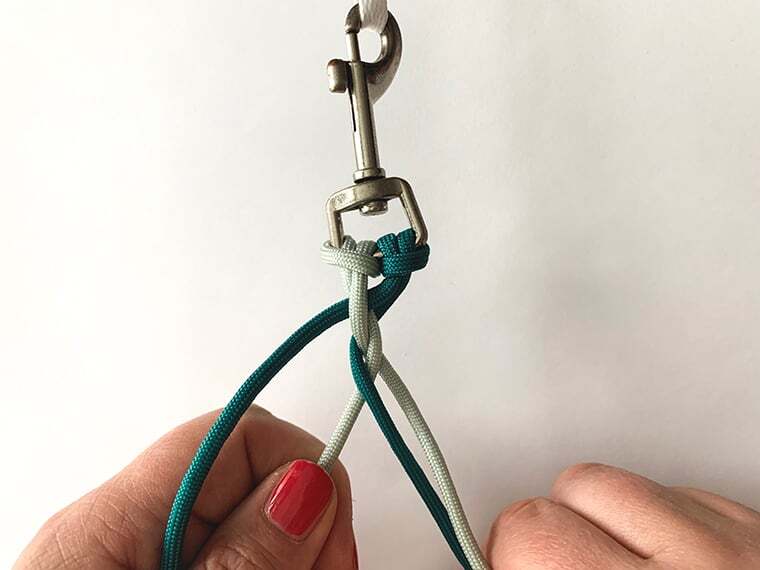 Paracord Leine