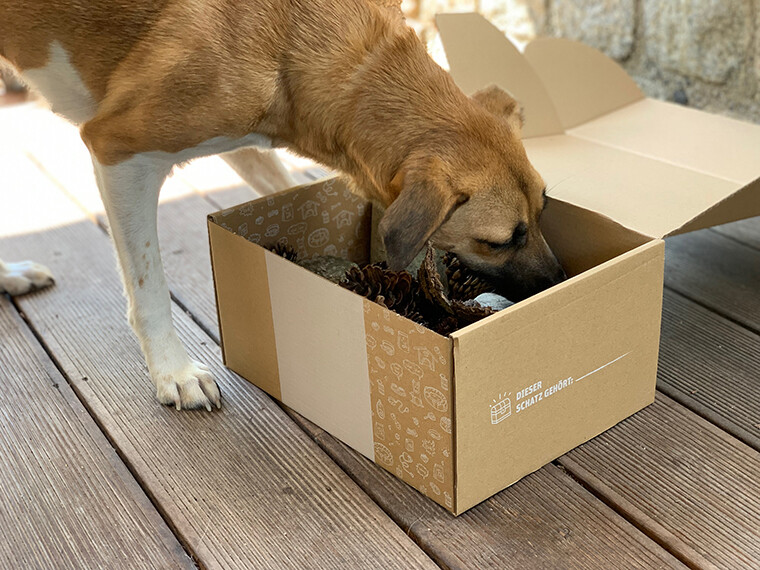 Bastelideen aus Karton für Hunde
